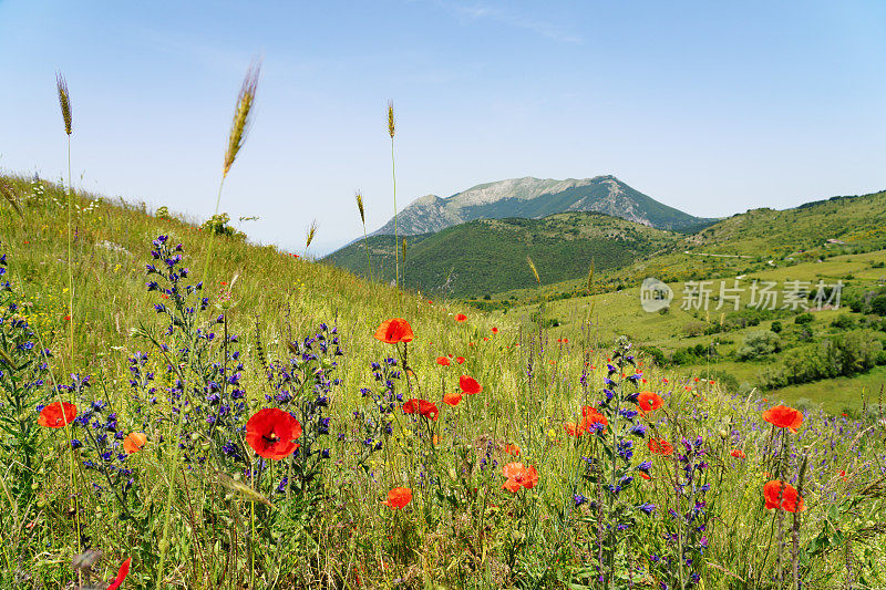 意大利Campo di Giove Abruzzo的山峰景观